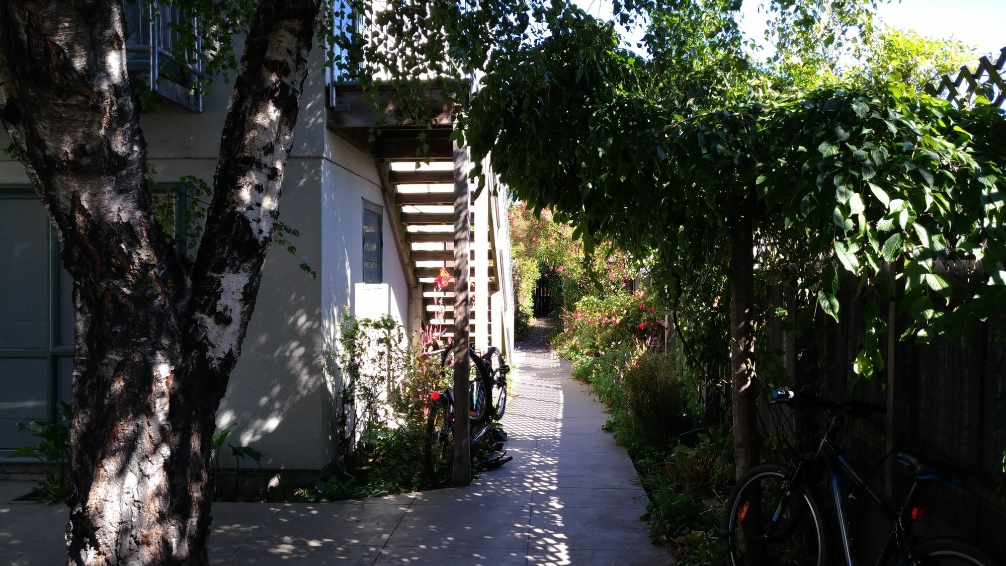 Kiwi House Hostel Крайстчерч Екстер'єр фото